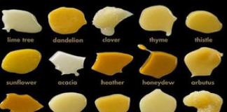 Описание распространенных видов меда