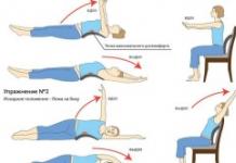 Упражнения для спины и позвоночника дома: видео и пояснения